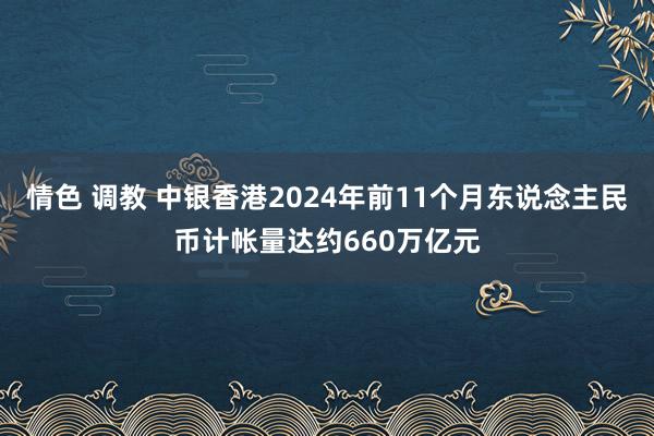 情色 调教 中银香港2024年前11个月东说念主民币计帐量达约660万亿元