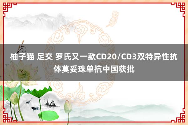 柚子猫 足交 罗氏又一款CD20/CD3双特异性抗体莫妥珠单抗中国获批