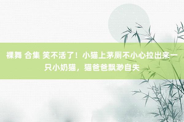 裸舞 合集 笑不活了！小猫上茅厕不小心拉出来一只小奶猫，猫爸爸飘渺自失