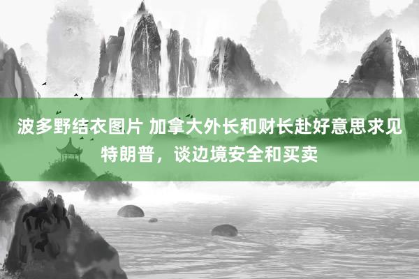 波多野结衣图片 加拿大外长和财长赴好意思求见特朗普，谈边境安全和买卖