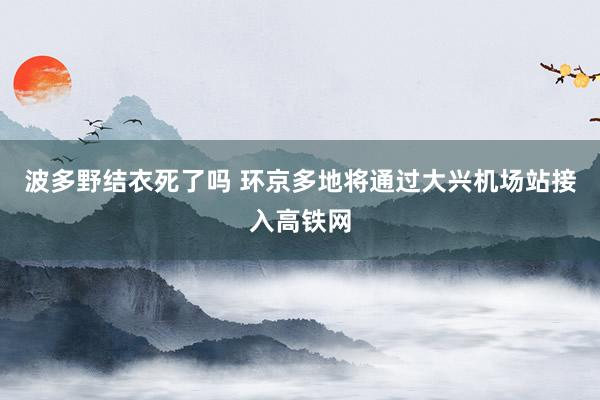 波多野结衣死了吗 环京多地将通过大兴机场站接入高铁网