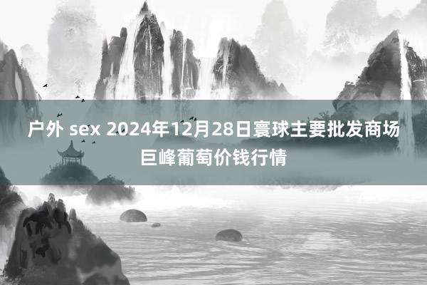 户外 sex 2024年12月28日寰球主要批发商场巨峰葡萄价钱行情