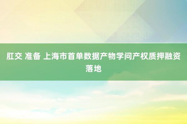 肛交 准备 上海市首单数据产物学问产权质押融资落地