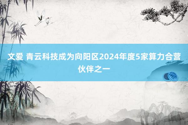 文爱 青云科技成为向阳区2024年度5家算力合营伙伴之一