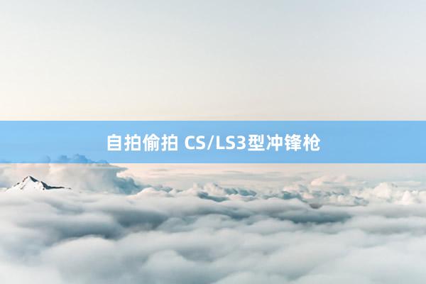 自拍偷拍 CS/LS3型冲锋枪