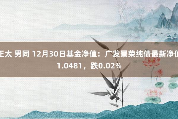 正太 男同 12月30日基金净值：广发景荣纯债最新净值1.0481，跌0.02%