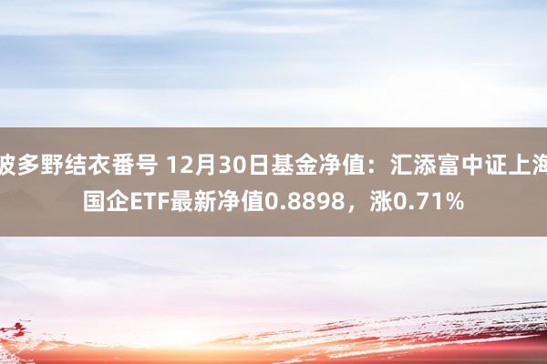 波多野结衣番号 12月30日基金净值：汇添富中证上海国企ETF最新净值0.8898，涨0.71%