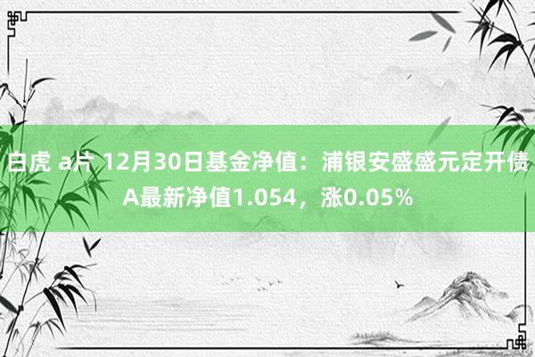 白虎 a片 12月30日基金净值：浦银安盛盛元定开债A最新净值1.054，涨0.05%