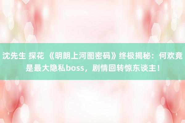 沈先生 探花 《明朗上河图密码》终极揭秘：何欢竟是最大隐私boss，剧情回转惊东谈主！