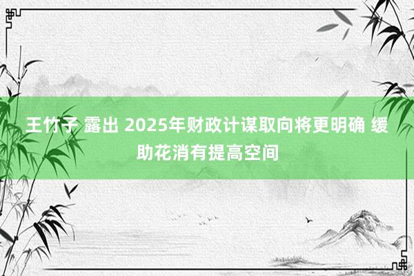 王竹子 露出 2025年财政计谋取向将更明确 缓助花消有提高空间