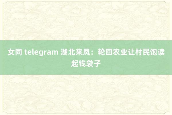 女同 telegram 湖北来凤：轮回农业让村民饱读起钱袋子