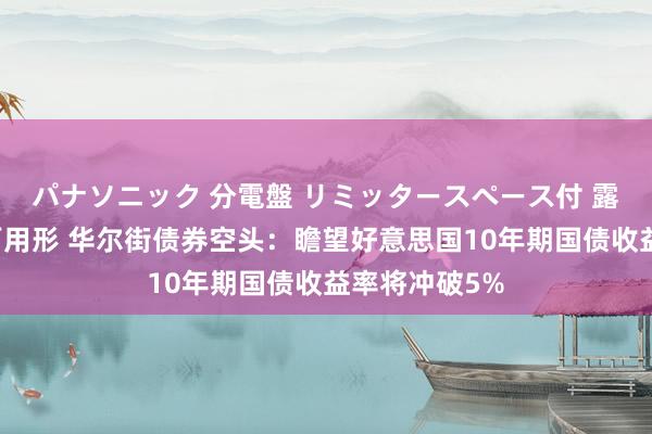 パナソニック 分電盤 リミッタースペース付 露出・半埋込両用形 华尔街债券空头：瞻望好意思国10年期国债收益率将冲破5%