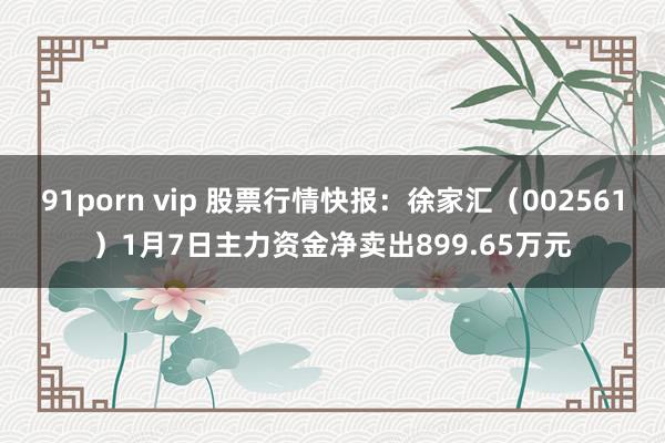 91porn vip 股票行情快报：徐家汇（002561）1月7日主力资金净卖出899.65万元