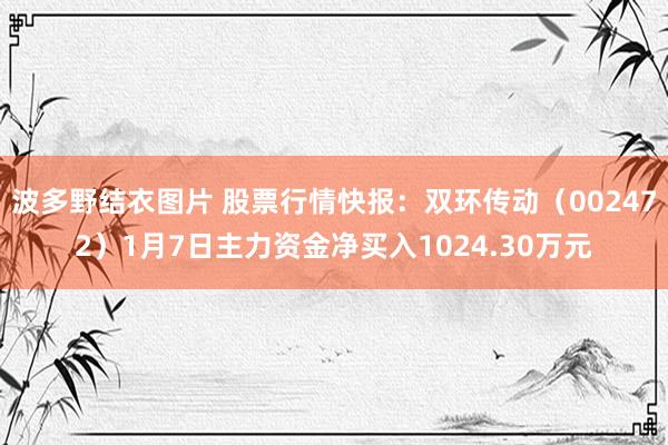 波多野结衣图片 股票行情快报：双环传动（002472）1月7日主力资金净买入1024.30万元