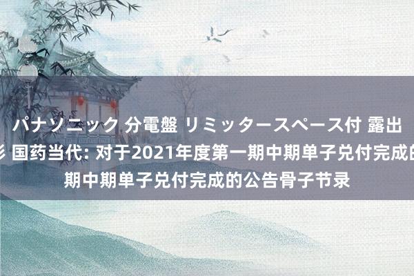 パナソニック 分電盤 リミッタースペース付 露出・半埋込両用形 国药当代: 对于2021年度第一期中期单子兑付完成的公告骨子节录