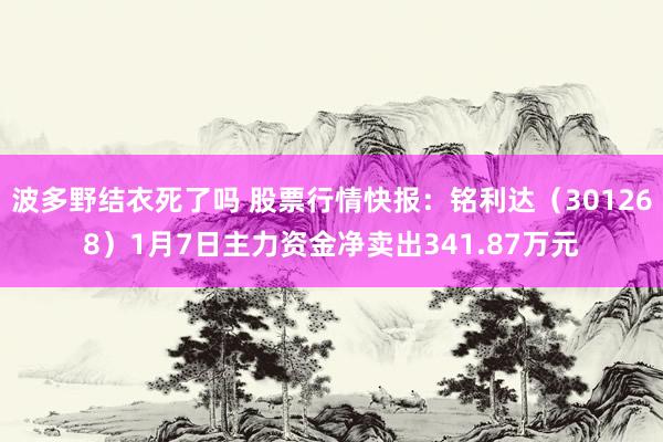 波多野结衣死了吗 股票行情快报：铭利达（301268）1月7日主力资金净卖出341.87万元