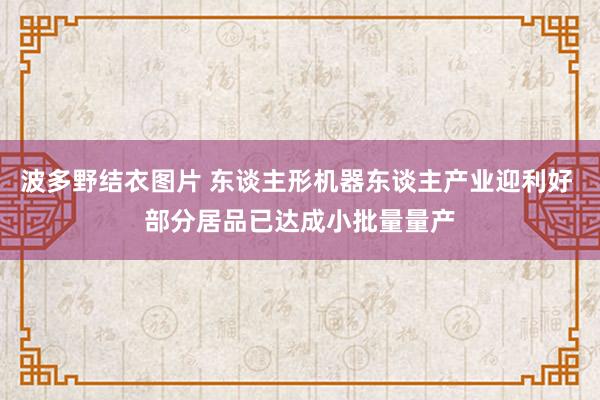 波多野结衣图片 东谈主形机器东谈主产业迎利好 部分居品已达成小批量量产