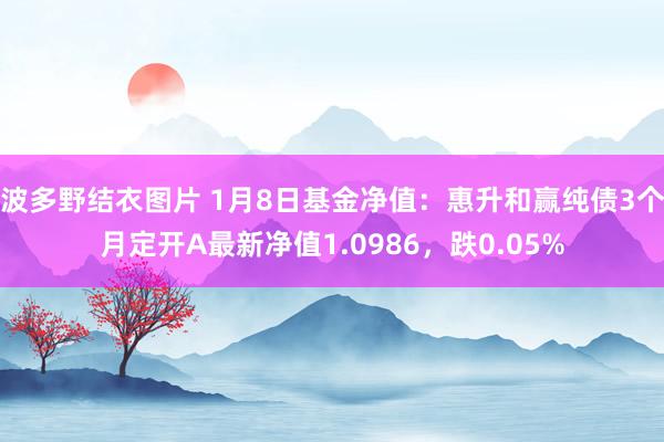 波多野结衣图片 1月8日基金净值：惠升和赢纯债3个月定开A最新净值1.0986，跌0.05%