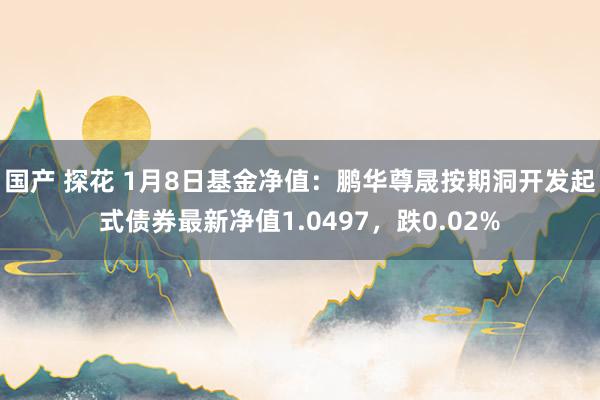 国产 探花 1月8日基金净值：鹏华尊晟按期洞开发起式债券最新净值1.0497，跌0.02%