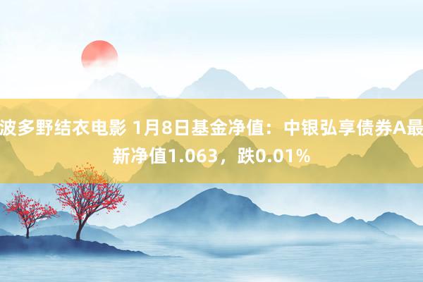 波多野结衣电影 1月8日基金净值：中银弘享债券A最新净值1.063，跌0.01%