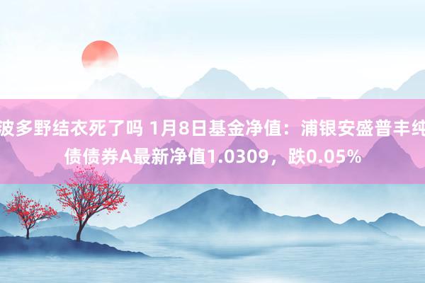 波多野结衣死了吗 1月8日基金净值：浦银安盛普丰纯债债券A最新净值1.0309，跌0.05%