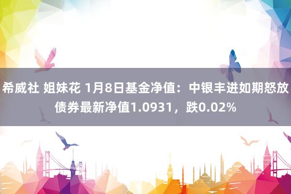 希威社 姐妹花 1月8日基金净值：中银丰进如期怒放债券最新净值1.0931，跌0.02%