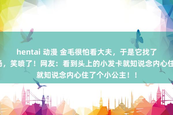 hentai 动漫 金毛很怕看大夫，于是它找了一个神器来捧场，笑喷了！网友：看到头上的小发卡就知说念内心住了个小公主！！