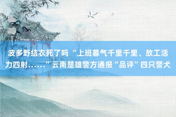 波多野结衣死了吗 “上班暮气千里千里、放工活力四射……”云南楚雄警方通报“品评”四只警犬