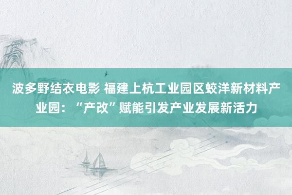 波多野结衣电影 福建上杭工业园区蛟洋新材料产业园：“产改”赋能引发产业发展新活力