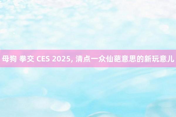 母狗 拳交 CES 2025， 清点一众仙葩意思的新玩意儿