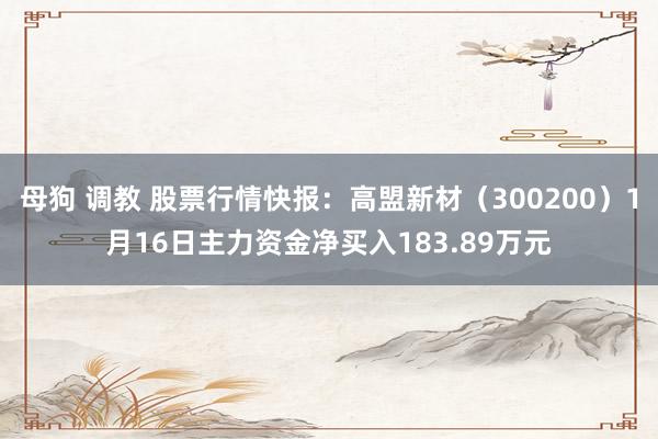 母狗 调教 股票行情快报：高盟新材（300200）1月16日主力资金净买入183.89万元