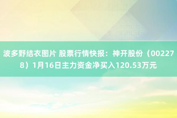 波多野结衣图片 股票行情快报：神开股份（002278）1月16日主力资金净买入120.53万元