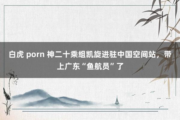 白虎 porn 神二十乘组凯旋进驻中国空间站，带上广东“鱼航员”了